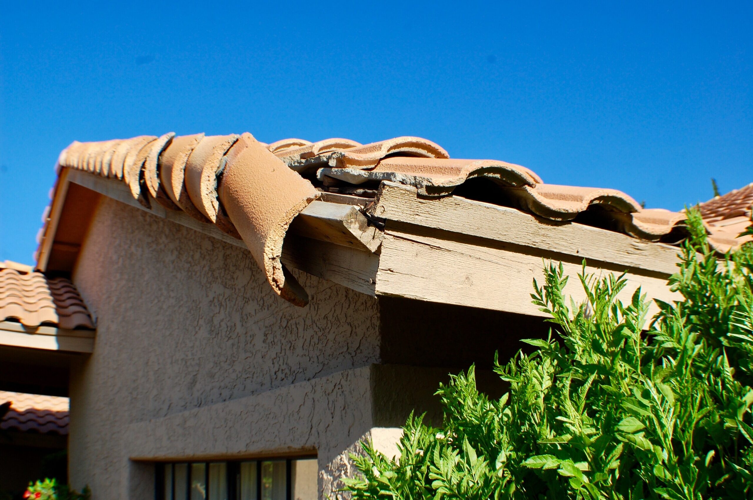 Roof with storm damage
