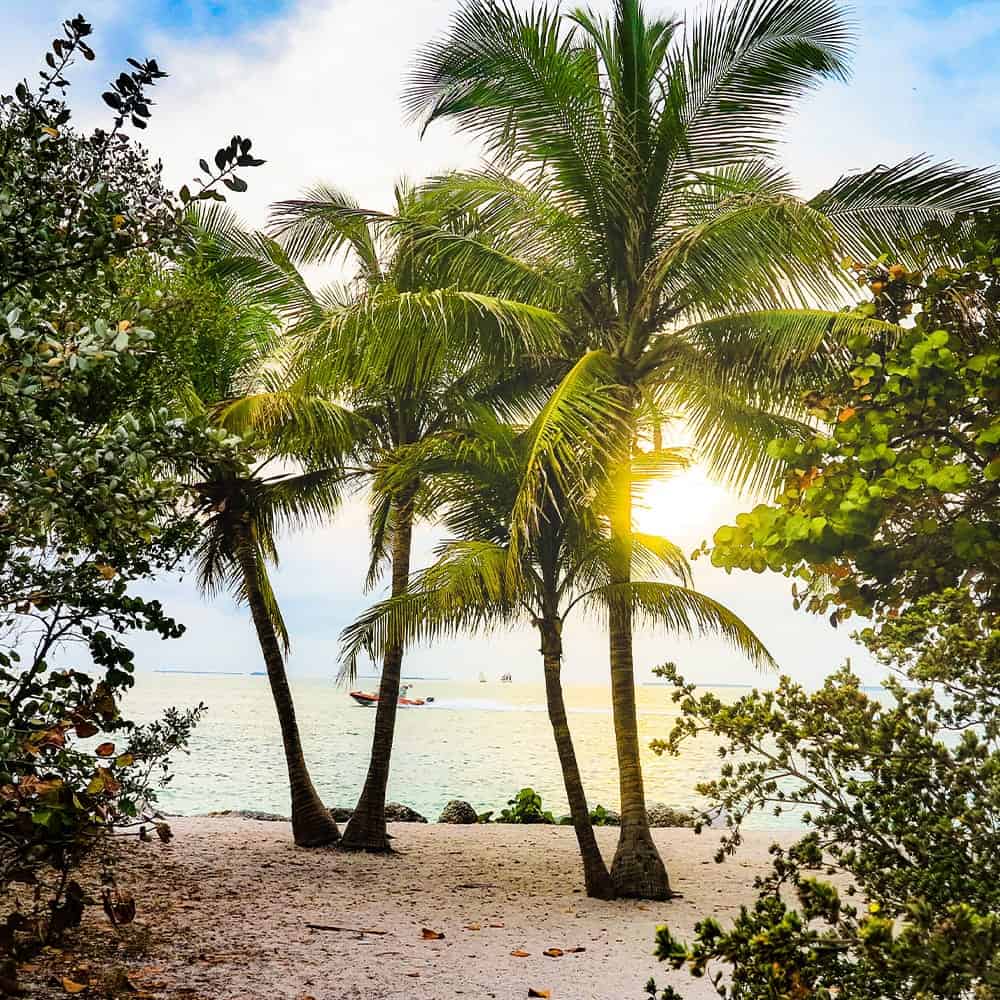 Florida Roofing Contractor – RRCA – Roofing & Reconstruction Contractors Of America Florida Roofing Contractor - RRCA – Roofing & Reconstruction Contractors Of America